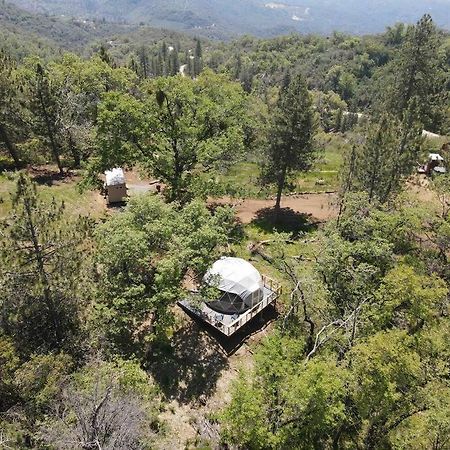 Enchanted Forest Dome ,10-15 Minutes To Kings Canyons-New Pellet Stove For Cozy Warm Nights Dunlap Dış mekan fotoğraf