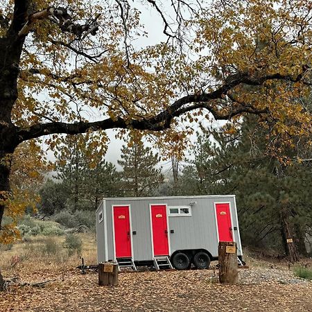 Enchanted Forest Dome ,10-15 Minutes To Kings Canyons-New Pellet Stove For Cozy Warm Nights Dunlap Dış mekan fotoğraf