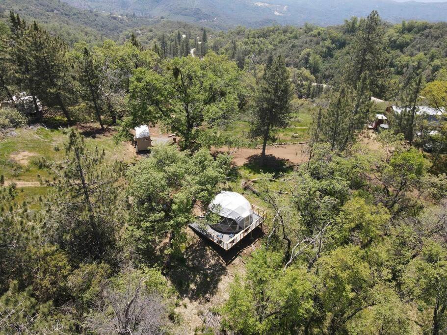 Enchanted Forest Dome ,10-15 Minutes To Kings Canyons-New Pellet Stove For Cozy Warm Nights Dunlap Dış mekan fotoğraf